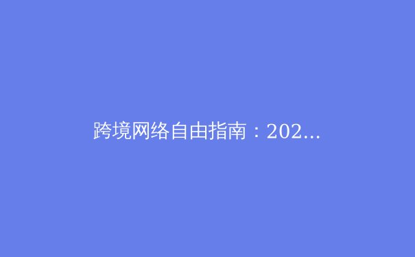 跨境网络自由指南：2024年VPN技术演进与合规使用全景解析 - 2