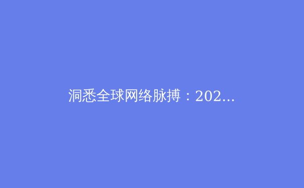 洞悉全球网络脉搏：2024年VPN技术演进与安全应用深度解析